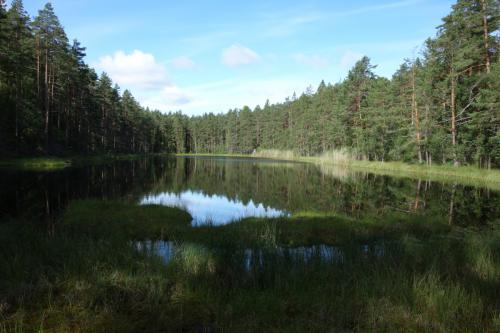 Bäckkärret vid gryten